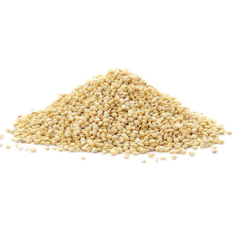 QUINOA BLANC 2,5KG